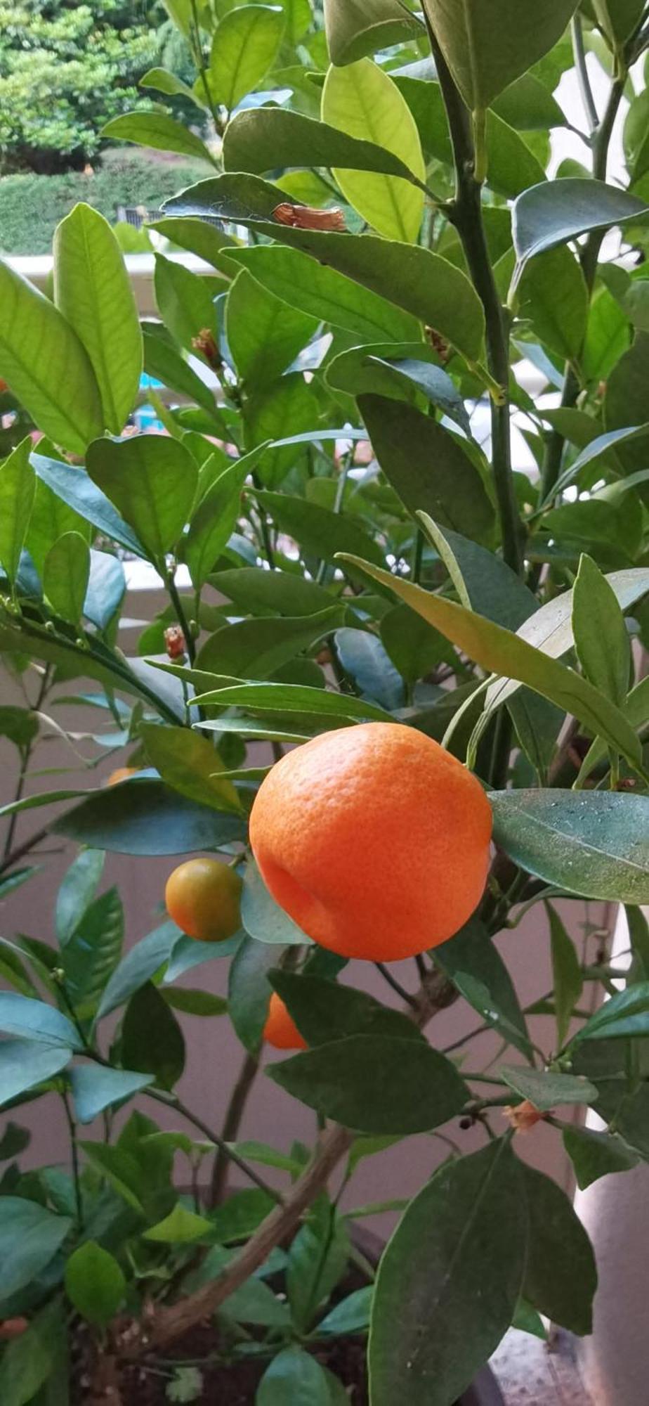 Bloom Apartment Pero Ngoại thất bức ảnh